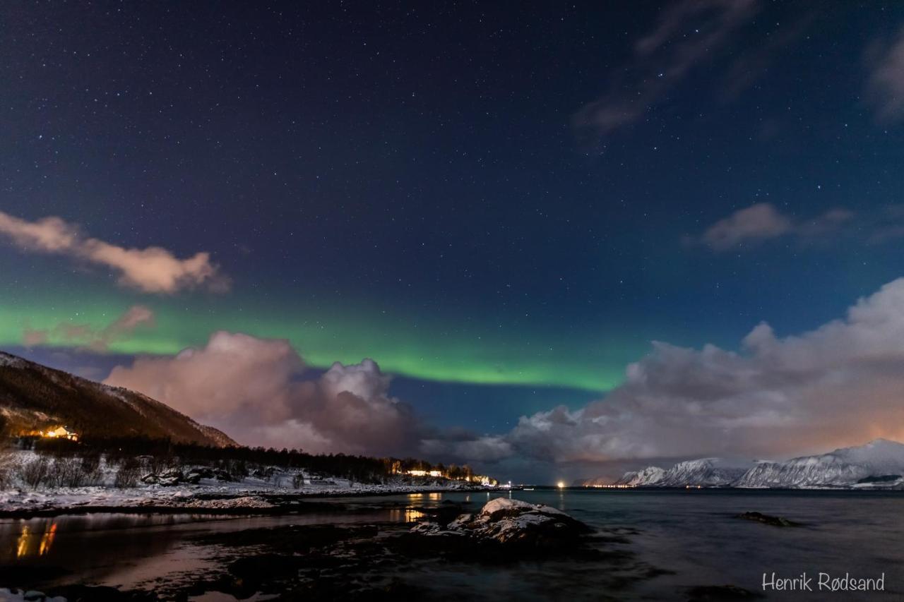 Toftenes Sjohuscamping Alsvåg Exterior foto